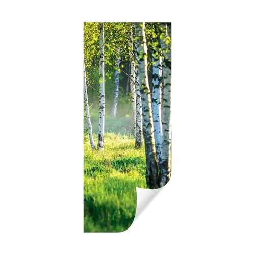 Türtapete Selbstklebend Birkenwald - 91x211 cm, Fototapete für Wohnzimmer, Küche und Badezimmer - Türaufkleber aus robustem, UV-beständigem Material, kinderleicht montierbar und umweltfreundlich, verleiht jedem Raum einen einzigartigen Look.