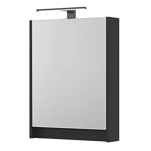 Spiegelschrank mit LED-Beleuchtung Schwarz matt 50 cm
