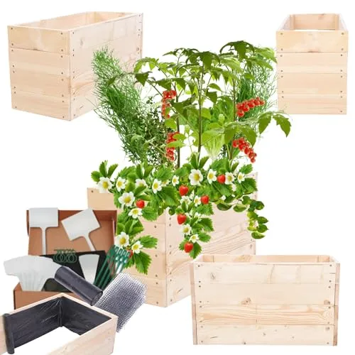 MODO24 Hochbeet Holz, Kräuterbeet, Gartenbeet, Pflanzkasten, Blumenbeet, für Garten und Terrasse, Kiefernholz, Massivholz, Naturholz, Gemüsegarten, Abmessungen 36x63x30 cm, Farbe: Natur