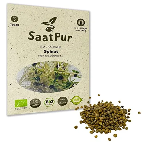 SaatPur Bio Keimsprossen - Spinat - Keimsaat für die Sprossenzucht zuhause - 20g Baby Salat Spinat