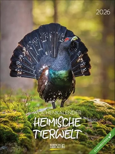 Heimische Tierwelt 2026 | Kalender von Verlag Korsch