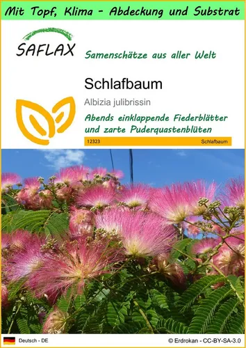 SAFLAX Blumensamen SAFLAX - Garden to go - Schlafbaum