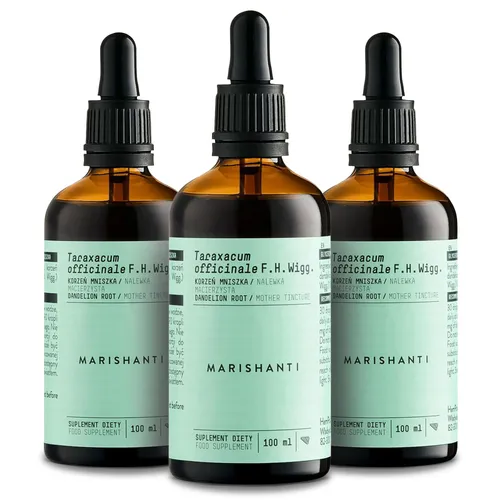 Marishanti Löwenzahnwurzel Extrakt – alkoholfrei 3x300 ml - Alkoholfreier Löwenzahnwurzel Extrakt in milder Glycerintinktur. Ideal zur einfachen Integration in den Alltag, mit natürlichen Bitterstoffen und ohne künstliche Zusätze. Perfekt für bewusste Genießer!