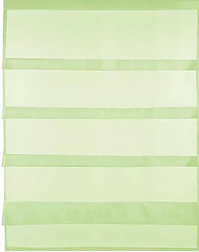 Transparente Bistrogardine Raffoptik mit Stangendurchzug in Voile, schlicht und modern in vielen erhältlich (80 x 110 cm/grün - apfelgrün)