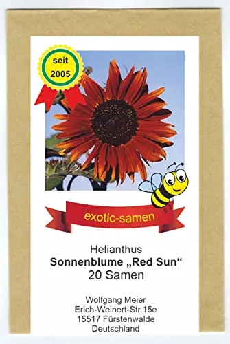 Rote Sonnenblume in rot von exotic-samen