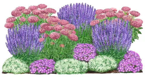 Produktbild Dehner Bio Stauden-Set Terrassenglück, Landlust Kollektion – 12 Pflanzen für sonnige Standorte