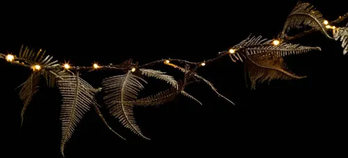 Lichterkette für Innenbereich, Pflanzenmotiv, 25 LED in gold von Fééric Lights and Christmas