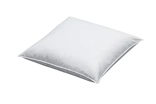 SCHLAFSTIL Gänsedaunen Kleinkissen D600