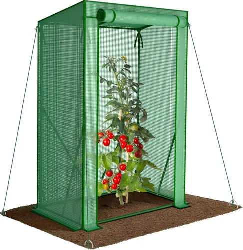 VOUNOT® Schrägdach Gewächshaus Foliengewächshaus 100x50x150cm für Gemüse, Blumen & Obst, 135g/m², Grün