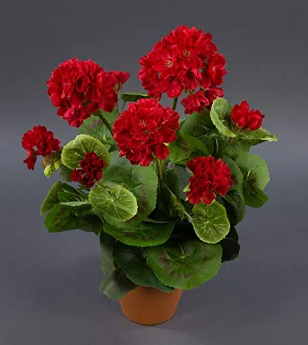 Seidenblumen Roß Geranie 36cm -ohne Topf- LM Kunstpflanzen Kunstblumen künstliche Blumen Pflanzen Pelargonium … (Rot)