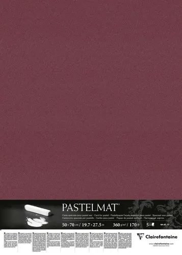 Clairefontaine Pastelmat 96167C - 5 Zeichenbögen in weinrot - Schreibutensilien: 5 hochwertige Pastelmat Bögen (50 x 70 cm, 360 g) in weinrot, ideal für Trockentechniken. Säurefrei und langlebig, perfekt für kreative Kunstwerke.