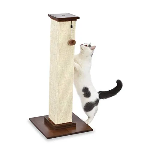 Katzenmöbel von Amazon