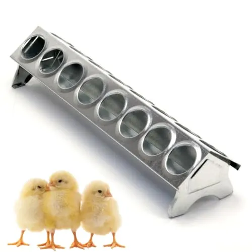 Futter Trog Metall Freß Loch Gitter Küken Behälter Rinne verzinkt Geflügel 30 50 (30 cm, Lochgitter)