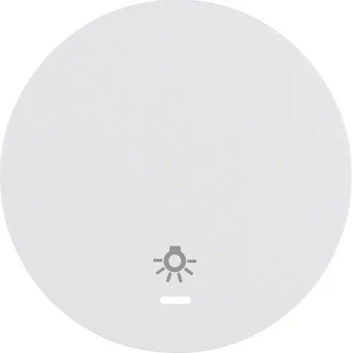 Berker Wippe pows/gl 16212079 Taster Schalter Abdeckungen Abdeckung Wippe