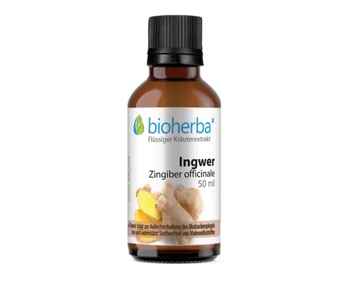 BIOHERBA R Ingwer Zingiber officinale Tropfen Tinktur 50 ml Nahrungsergänzungsmittel