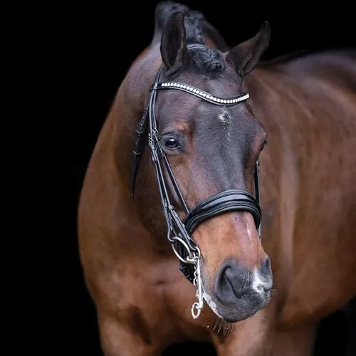 Imperial Riding Athena Kandarenzaum ohne Zügel, anatomisches Genickstück, Rindslederpolsterung, Strassstirnband, Lackleder-Nasenriemen mit Glitzerpaspel, Büffelleder, Edelstahlbeschläge, Schwarz, Cob