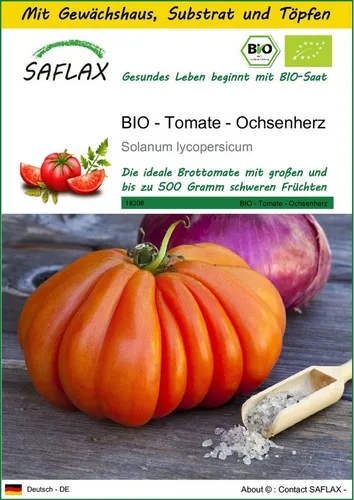 SAFLAX Gemüsesamen SAFLAX - Anzuchtset - BIO - Tomate - Ochsenherz