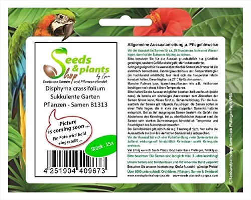 Stk - 15x Disphyma crassifolium Sukkulente Garten Pflanzen - Samen B1313 - Seeds & Plants Shop by Ipsa