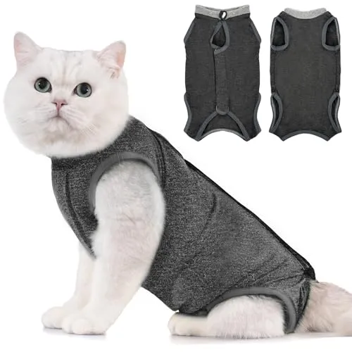 Avont Katzenbody nach OP