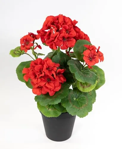 Seidenblumen Roß Künstliche Geranie im Topf 34cm LM Kunstblumen künstliche Pelargonium Blumen Pflanzen (Rot - 34cm)