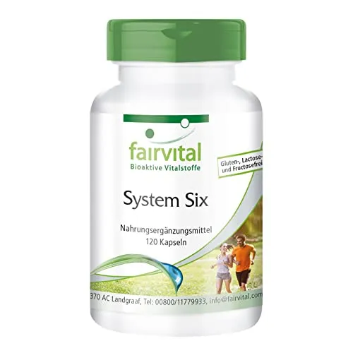 Fairvital | System Six - VEGAN - 120 Kapseln - mit Chrom, Jod, L-Carnitin, Grüner Tee, Spirulina, Garcinia Cambogia und mehr
