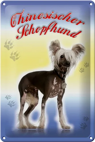 Blechschild Hund 20x30 cm Chinesischer Schopfhund Metall Deko Schild tin sign