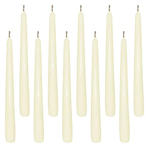 Gastro 10 Creme Spitzkerzen 23,5 x 245 mm, Unparfümiert, Klassisch, Zylindrisch, Indoor, Langsame Brenndauer, Paraffinwachs