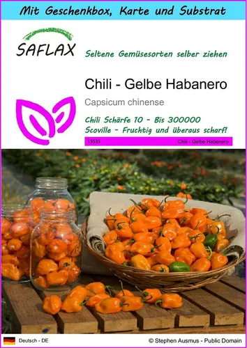 SAFLAX Gemüsesamen SAFLAX - Geschenkset - Chili - Gelbe Habanero