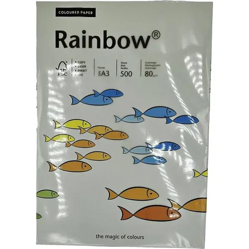 Drucker- & Kopierpapier Grau von Rainbow