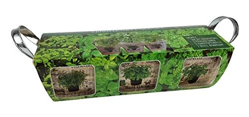 Sesua Starterset Komplettset Kräutertöpfe 3er Set Holz mit Saatgut Thymian Basilikum Petersilie und Nährmedium ideal als Kräutergarten