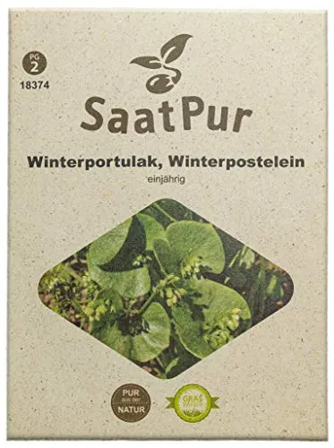 SaatPur Winterportulak Samen, Saatgut für ca. 1500 Pflanzen
