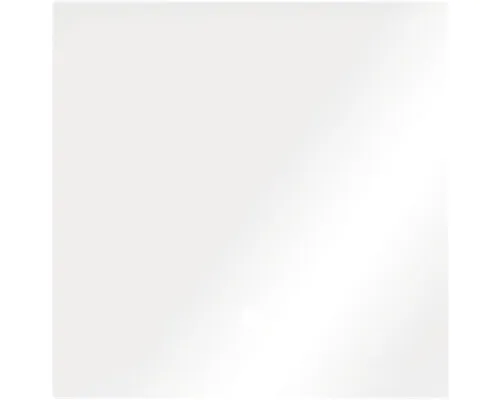 Dennerle Abdeckscheibe Nano Cube 60 Liter - Glasabdeckscheibe mit Griffloch, original Ersatzteil für Dennerle Nano Cube 30 und 60 L