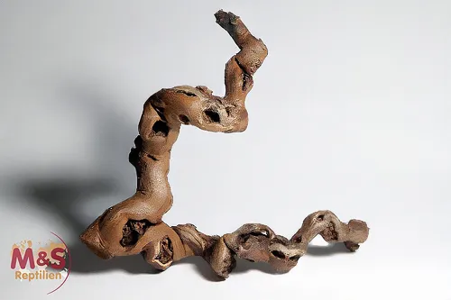 M&S Reptilien Terrarium Rebwurzel klein, Länge: ca. 30-40 cm