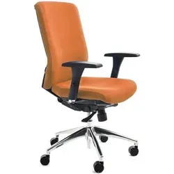 Bürodrehstuhl mit Armlehnen orange - Komfortabler Bürodrehstuhl mit ergonomischer Rückenlehne und stabilen Laufrollen. Ideal für den täglichen Einsatz im Büro. Verstellbare Armlehnen und höhenverstellbar für optimalen Sitzkomfort.