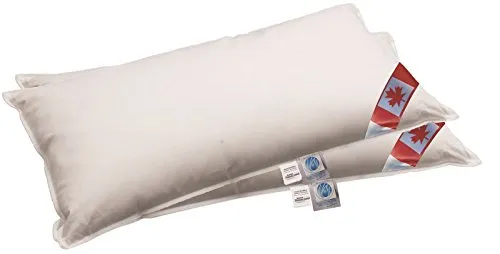 betten-traum-land NEUHEIT: 2 Premium Air-O-Cell 3-Kammer Kissen außen 100% Daune 40x80 cm