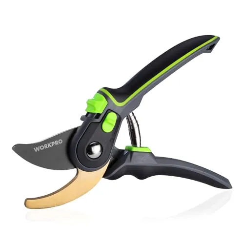 WORKPRO Bypass Gartenschere 250 mm mit Antihaft-Beschichtung, Rosenschere Baumschere Pflanzenschere für Große & Kleine Hände, Hochwertige Gartenwerkzeug für Frisches Holz