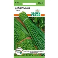 SAMEN PFANN Schnittlauch Polyvit