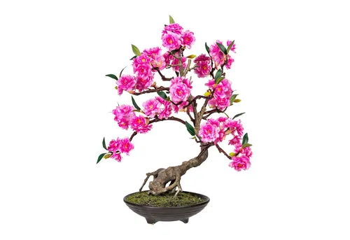 Produktbild CREATIV green Bonsai Cerasum 50cm
