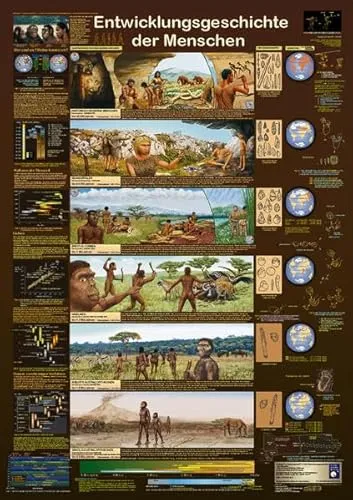 Planet Poster Editions Entwicklungsgeschichte der Men schen Poster, deutsch DIN A1