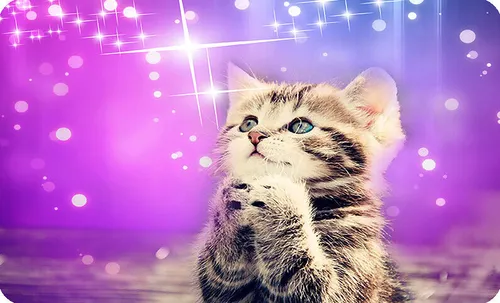 Mauspad 24 x 20 cm Mousepad Gaming / Office Silent Monsters Katze Kätzchen