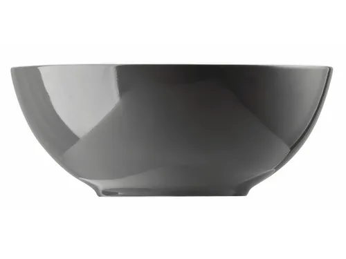 Thomas Geschirr Grau von Thomas Porzellan