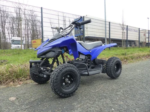 Elektro Quad Miniquad Kinder Atv Cobra 500 Watt 24V von RV-Racing