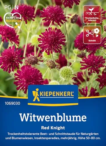 Kiepenkerl Witwenblumensamen Red Knight 1069030 - trockenheitstolerante Beet- und Schnittstaude für Naturgärten und Blumenwiesen - Pflanzen, Blumensamen, Saatgut