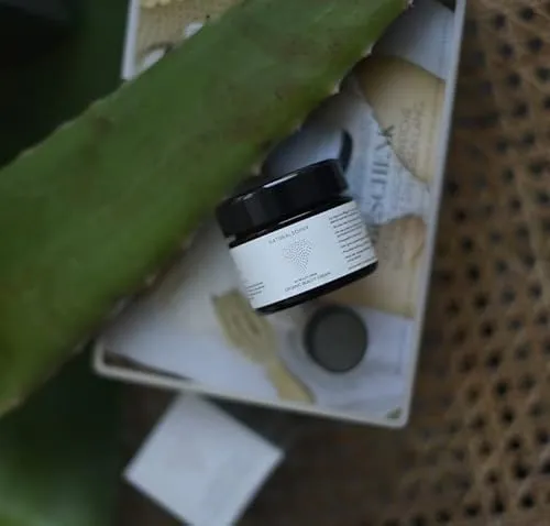 Naturalsophy Organic Beauty Cream 50ml - Ganzkörperpflege mit 100% Bio-Aloe-Vera-Saft und Anti-Aging-Eigenschaften, die deine Haut tief regeneriert und erfrischt. Frei von schädlichen Zusatzstoffen und in Deutschland hergestellt.