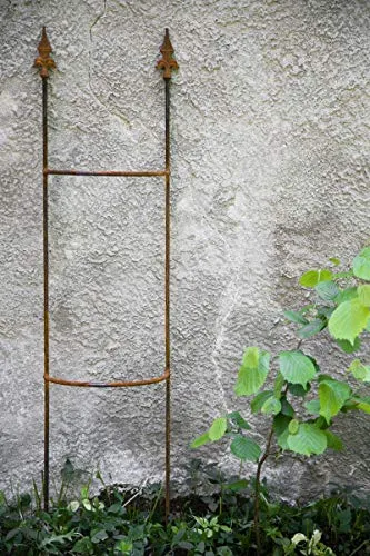 Rankgitter Metall Rost, Remo klein