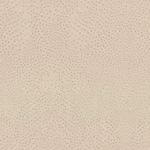 Rasch Tapete 751512 in beige von Rasch
