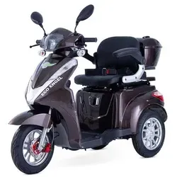 ECO ENGEL 501 Braun Senioren Roller, 25 km/h Seniorenmobil von Efun