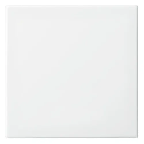 Busch-Jaeger 2506-914 Wippe von Busch-Jaeger