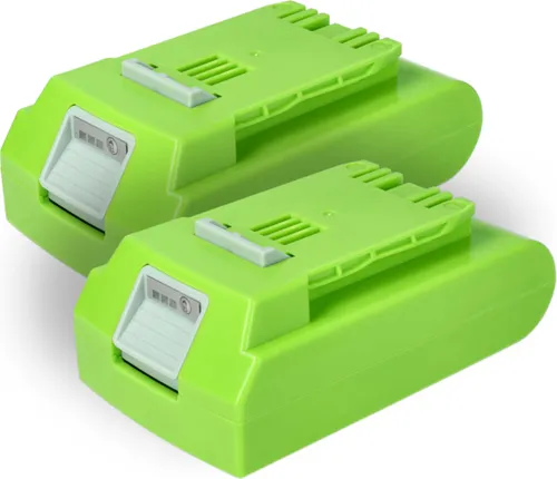 vhbw 2x Akku kompatibel mit Greenworks G24PS20K2, G24PS20, G24PH51, G24 Sweeper Werkzeug (2000 mAh, Li-Ion, 24 V)