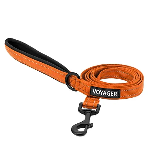 Voyager Reflektierende Hundeleine mit Neoprengriff, 1,5 m lang, unterstützt kleine, mittelgroße und große Rassen, niedlich und strapazierfähig zum Gehen, Laufen und Training, Orange (Leash), S